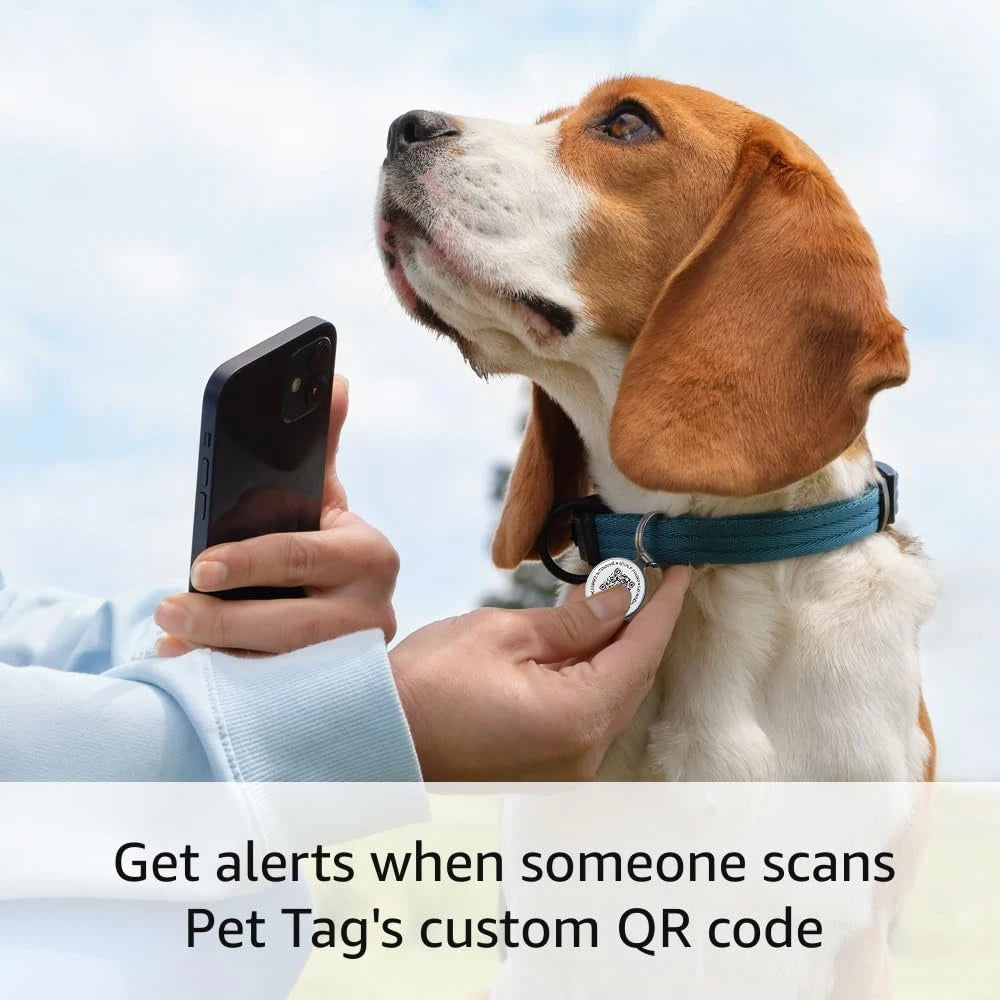 PawTrace — QR Pet Tag for Dogs &amp; Cats, Instant Location Alerts