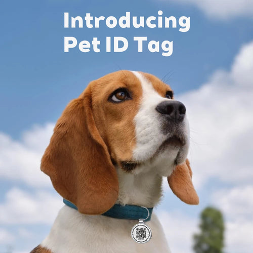 PawTrace — QR Pet Tag for Dogs &amp; Cats, Instant Location Alerts